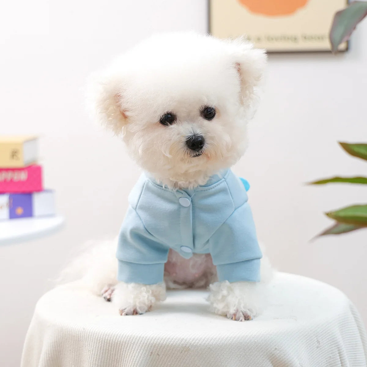 Cartoon Coat And Jacket For Small Dogs Autumn Winter Pet Apparel Cute Pocket Puppy Clothes Cat Yorkshire Terrier Dachshund Item