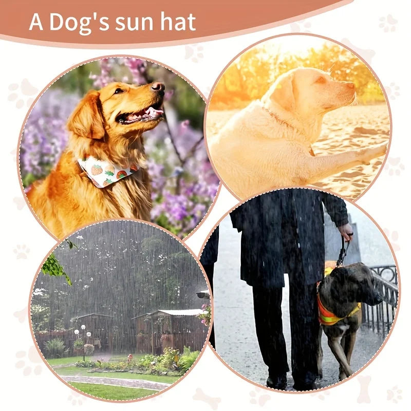 An adjustable PVC dog sun hat with elastic band - suitable for waterproof pet hats of small, medium, and large breeds