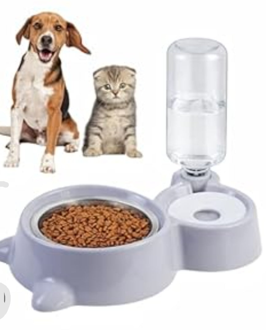 Feeding & Bowls