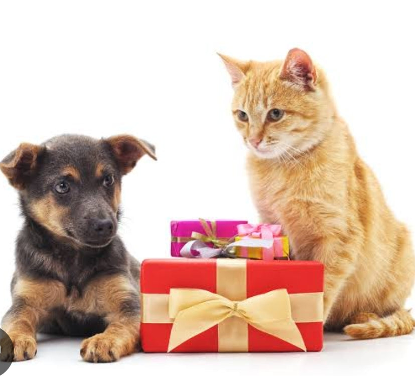 Free Gift