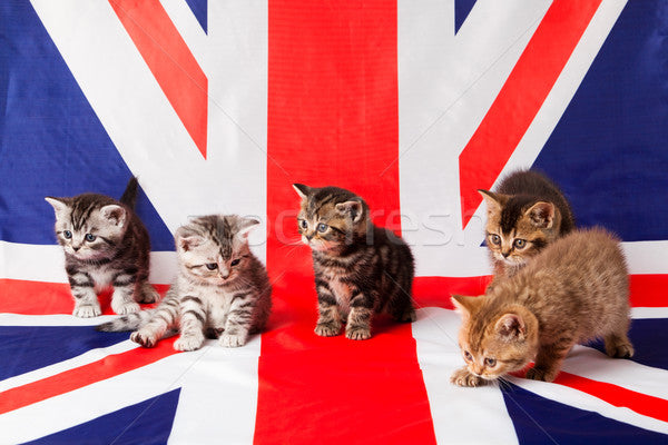 United Kingdom