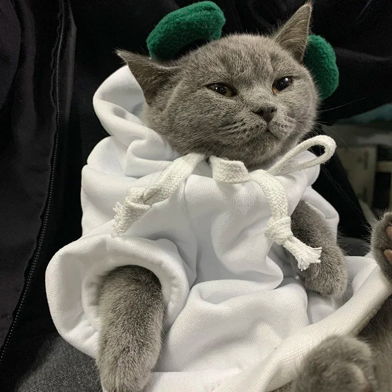 Winter Pet Hoodie Sweater Sports Cat Clothes for Cats Kitten Dog Pullovers Sweatshirt Fruit Animal Cosplay Pets Clothing Costume