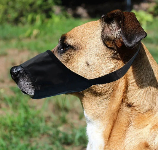 Dog Muzzles for Small Medium Large Dogs Soft Nylon Muzzle with Safety Buckle Puppy Muzzle Stop Biting Barking Dog Accessories