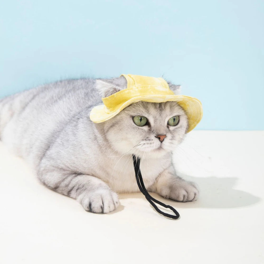 Pets Hat with Ear Holes Adjustable Baseball Cap for Medium Small Dogs Summer Dye Cats Sun Cap Pet Outdoor Hat Pet Supplies
