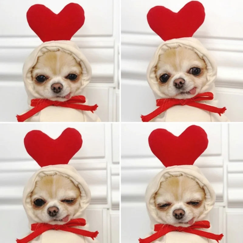 Winter Pet Hoodie Sweater Sports Cat Clothes for Cats Kitten Dog Pullovers Sweatshirt Fruit Animal Cosplay Pets Clothing Costume